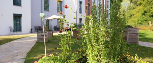 Mein alternativer Text